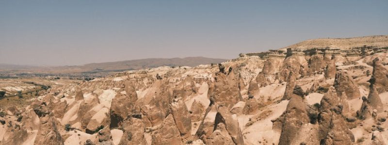 藍十字旅遊保險的魅力與實用性探討